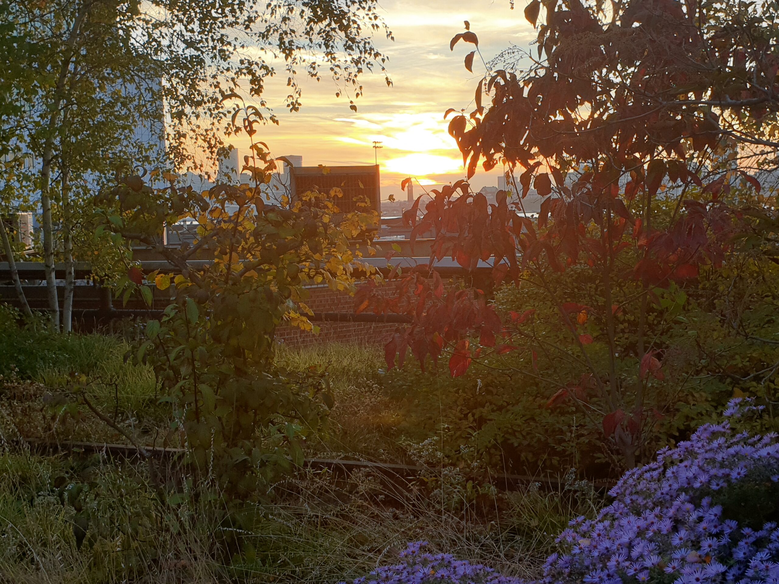 Vue sur l'Hudson River de la High Line à New-York au coucher du soleil