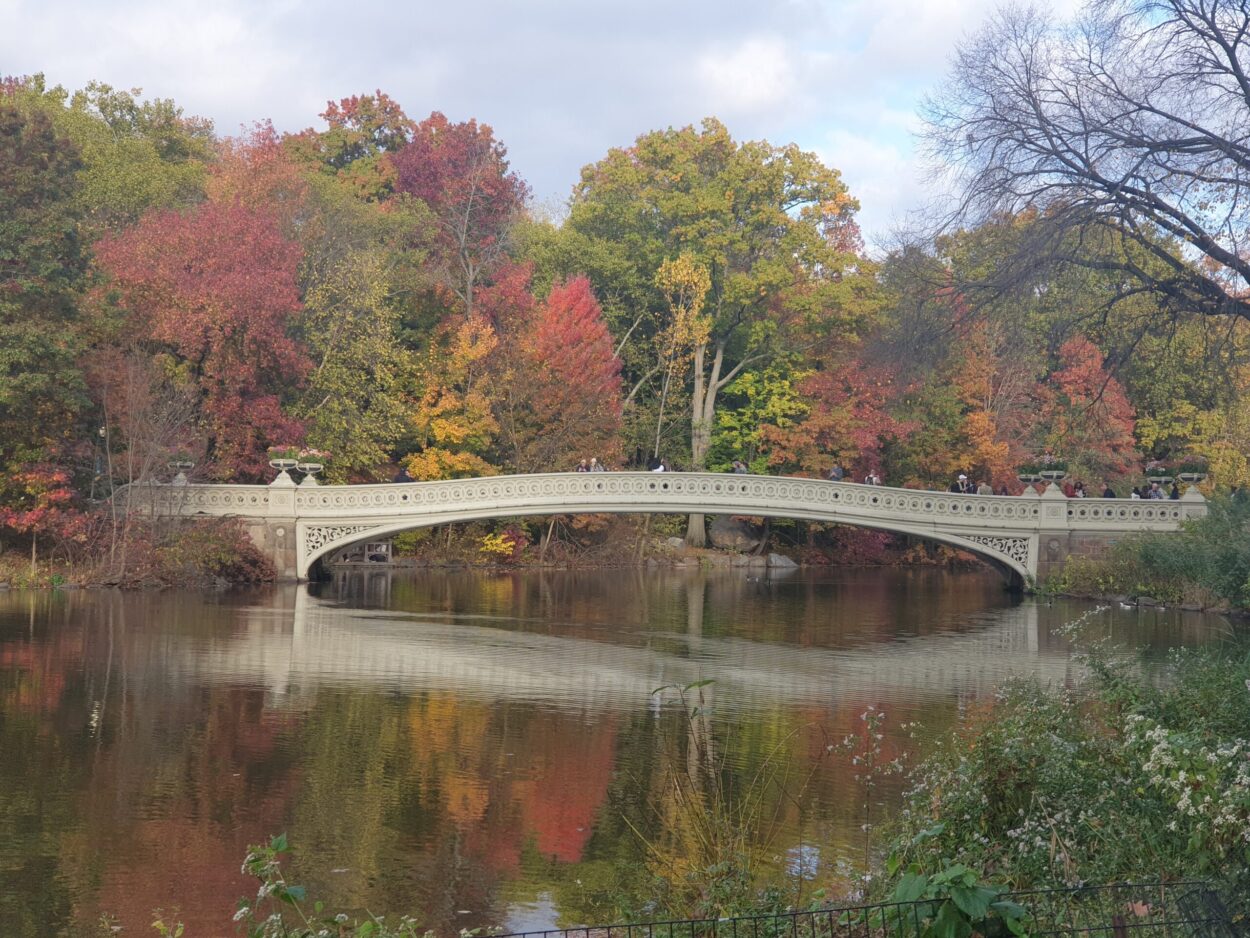 The Bow Bridge à Central Park New-York