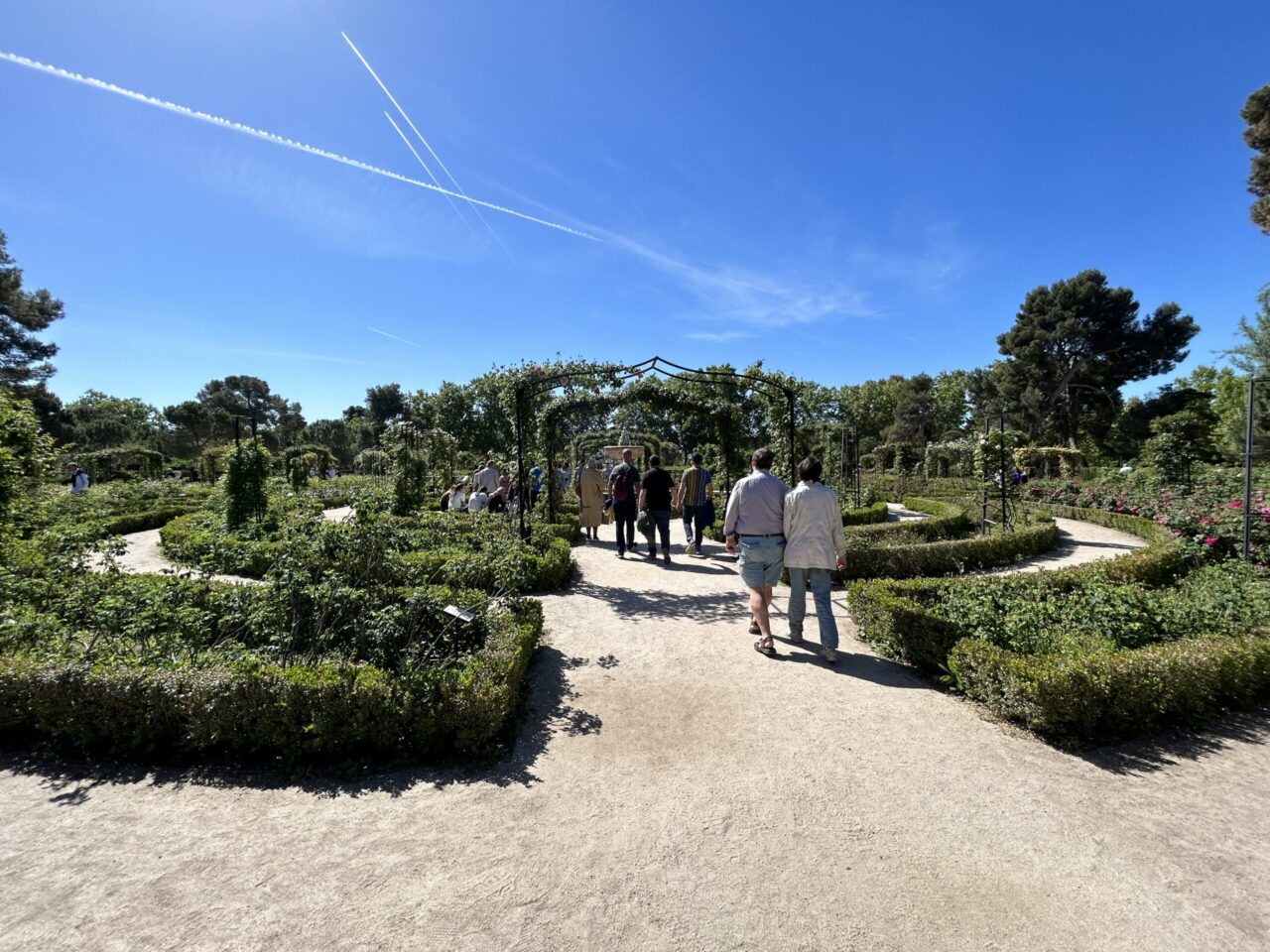 La ROSALEDA au parc RETIRO à Madrid